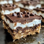 Chocolate Marshmallow Cookie Bars